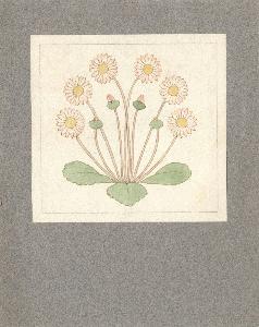 Veronica Mary Whall