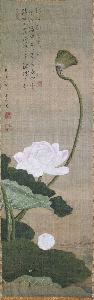 Odano Naotake