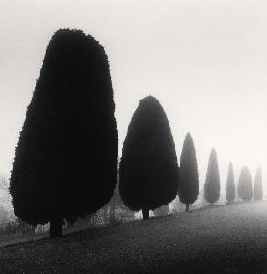 Michael Francis Kenna