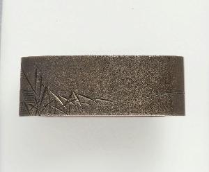 Ichinomiya Nagatsune