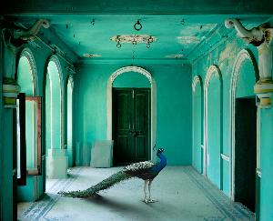 Karen Knorr Honfrps