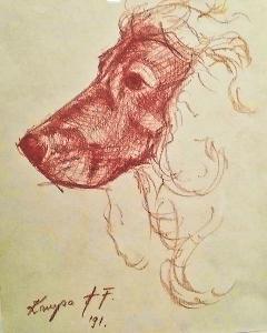 Krupa - Sketch of the dog-#39;s head