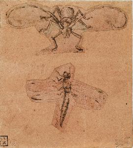 Wikioo.org - The Encyclopedia of Fine Arts - Artist, Painter  Leonardo Di Ser Piero Da Vinci & Andrea Del Verrocchio