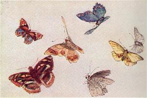 Fujishima Takeji - From the Notebooks Mourning for Butterflies