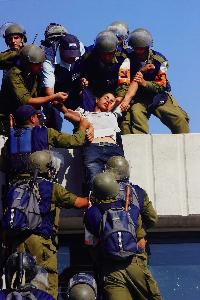 Natan Dvir