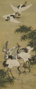 Kumashiro Ayaru, Hikonoshin, Jinzaemon, Kisen, Shūkō