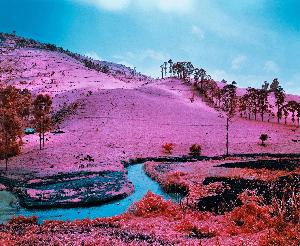 Richard Rupert Mosse