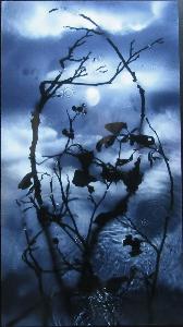 Susan Derges