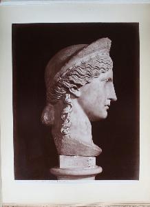 Domenico Andrea Maria D'arco Anderson