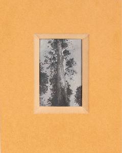 Wikioo.org - The Encyclopedia of Fine Arts - Artist, Painter  Susan Jane Norrie