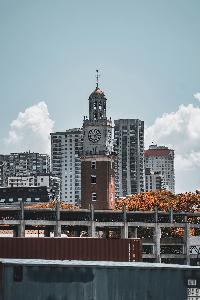 Lucas Rodrigues Vimieiro
