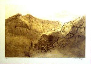 Luis Nishizawa Flores