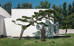 Tian Shixin