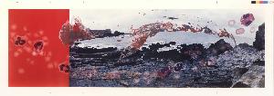 Helen Chadwick
