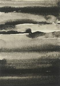 Nasreen Mohamedi
