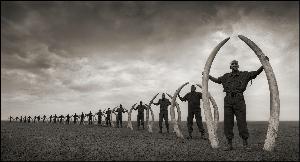 Wikioo.org - The Encyclopedia of Fine Arts - Artist, Painter  Nick Brandt