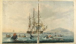 William Henry Downes