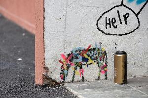 Wikioo.org - The Encyclopedia of Fine Arts - Artist, Painter  Martin Whatson