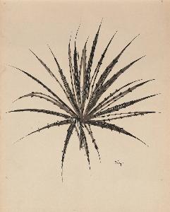 Napoleon Potyguara Lazzarotto