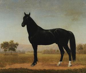 David Howard Woods
