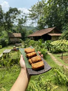 Driando Of Indonesian Tempe Movement