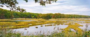 Wikioo.org - The Encyclopedia of Fine Arts - Artist, Painter  Marianne Campolongo Photography