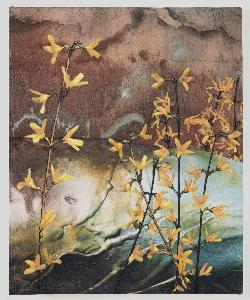 Deborah Melton Anderson