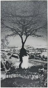 Jerzy Wardak