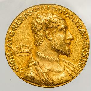 Domenico De' Domenichi, Dominicus Zenoi Venetus, Dominicus Torcellanus, Dominicus De Dominicis (Vene