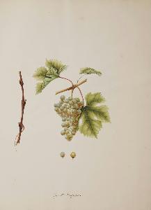 Wikioo.org - The Encyclopedia of Fine Arts - Artist, Painter  Johann Simon Von Kerner