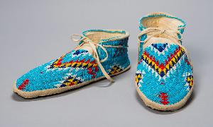 Wikioo.org - The Encyclopedia of Fine Arts - Artist, Painter  Eli Bear Shield (Oglala Lakota)