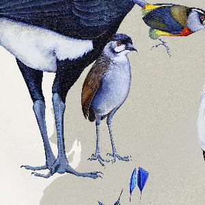 Wikioo.org - The Encyclopedia of Fine Arts - Artist, Painter  Jane Kim