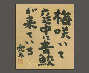 Kaneko Tohta