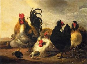 A rooster and chickens