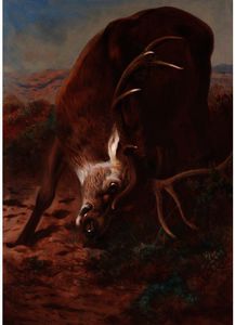 Archibald Thorburn - Red Stag Fraying