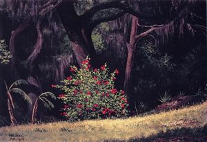 Woodland Scene with Red-Flowered Bush