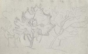 Sketch of trees
