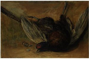 David Cox - A Cock Pheasant