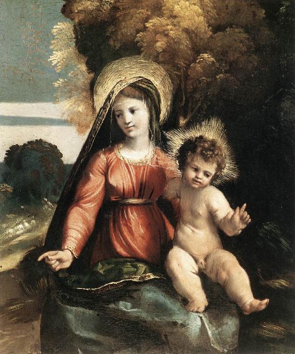 Wikioo.org – La Enciclopedia de las Bellas Artes - Pintura, Obras de arte de Dosso Dossi (Giovanni Di Niccolò De Luteri) - virgen con el niño