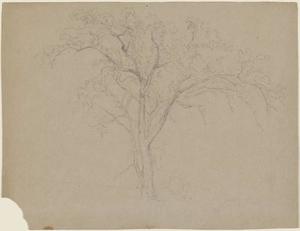 Jasper Francis Cropsey - Large Tree