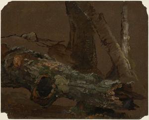 Jasper Francis Cropsey - Log and Lower Parts of Tree Trunks