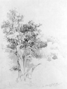 Jasper Francis Cropsey - Oak Tree, Albano