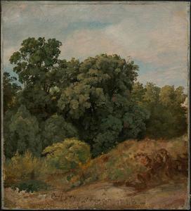 Jasper Francis Cropsey - Study of a Clump of Trees