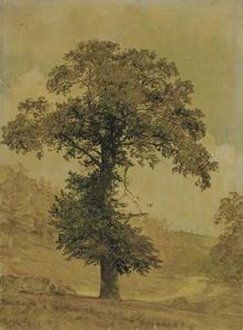 Jasper Francis Cropsey - Study of a Tree