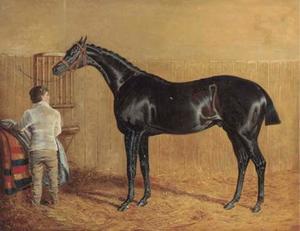 A racehorse in a stable with a groom