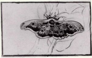 Vincent Van Gogh - Death-s Head Moth