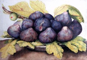 Giovanna Garzoni - Plate of Figs