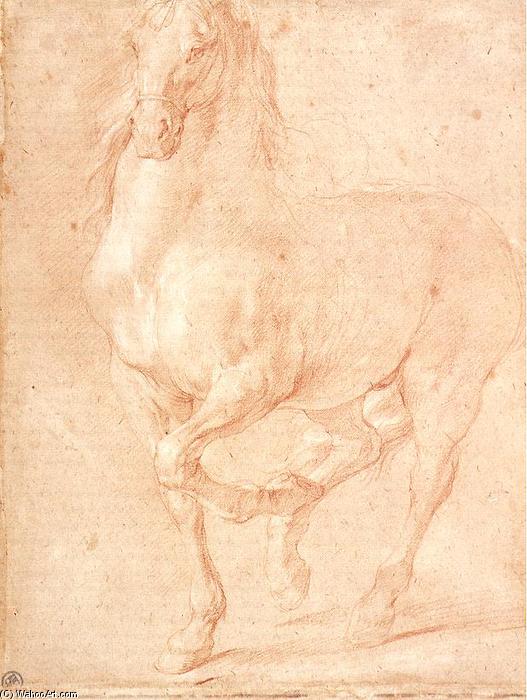 Wikioo.org - The Encyclopedia of Fine Arts - Painting, Artwork by Pierre Puget - Study of a Horse