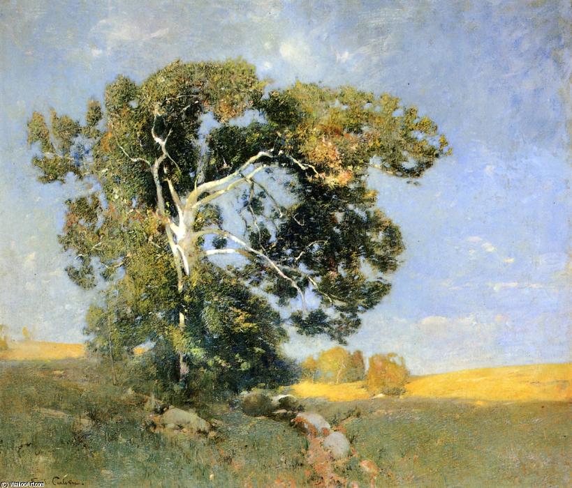 Wikioo.org - The Encyclopedia of Fine Arts - Painting, Artwork by Soren Emil Carlsen - Old Sycamore