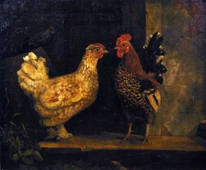 Study from Nature - Chickens
